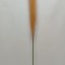 Iarba pampas 76cm portocaliu