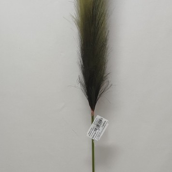 Iarba pampas 76cm verde