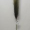 Iarba pampas 76cm verde