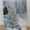Pungi cadou 31x40cm S/12