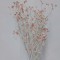 Buchet gypsophila 36cm piersica