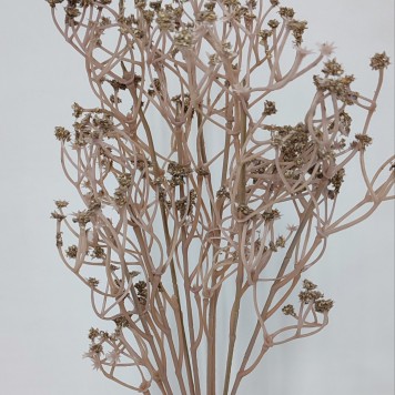 Buchet gypsophila 36cm cappucino