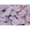 Creanga eucalypt cu frunze rotunde prep.inalbit mov