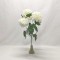 Buchet crizanteme x7 crem