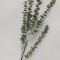 Creanga eucalypt x5 88cm verde
