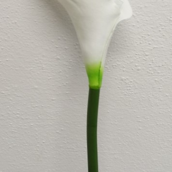 Fir cale extra 70cm alb