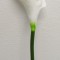 Fir cale extra 70cm alb