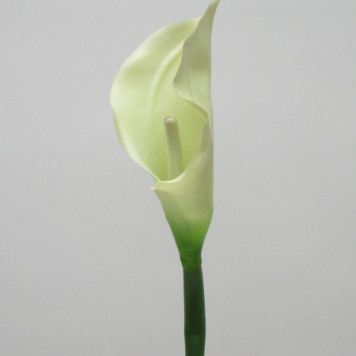 Fir cale extra 70cm crem