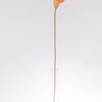 Fir cale latex h:58cm portocaliu
