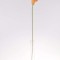 Fir cale latex h:58cm portocaliu