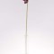 Fir cale latex h:58cm bordeaux