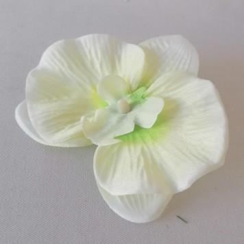 Cap orhidee 13cm s/24 crem