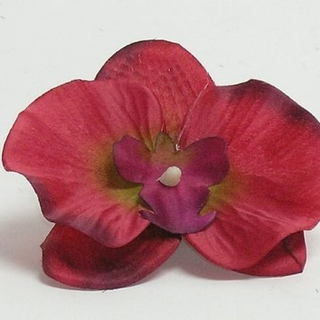 Cap orhidee 13cm s/24 rosu inchis