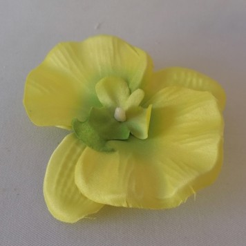 Cap orhidee 13cm s/24 verde