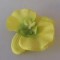 Cap orhidee 13cm s/24 verde