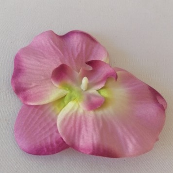 Cap orhidee 13cm s/24 mov