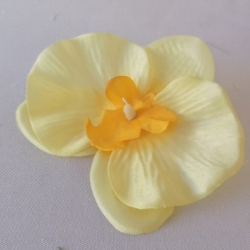 Cap orhidee 13cm s/24 galben