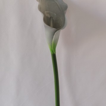 Fir cale extra 70cm gri