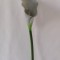 Fir cale extra 70cm gri