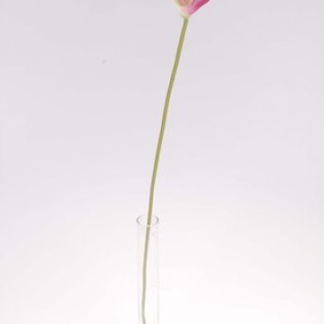 Fir cale extra 70cm mov deschis