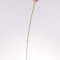 Fir cale extra 70cm mov deschis