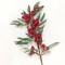 Creanga cu frunze eucalypt/bilute rosu