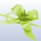 Fundite mici 2cmx50cm s/20 verde deschis