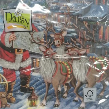 Servetele santa with reindeers on roof s/20