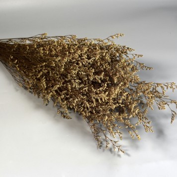 Limonium sinensis prep alb