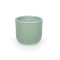 Bol ceramic Ronan lacuit 8cm verde salvie